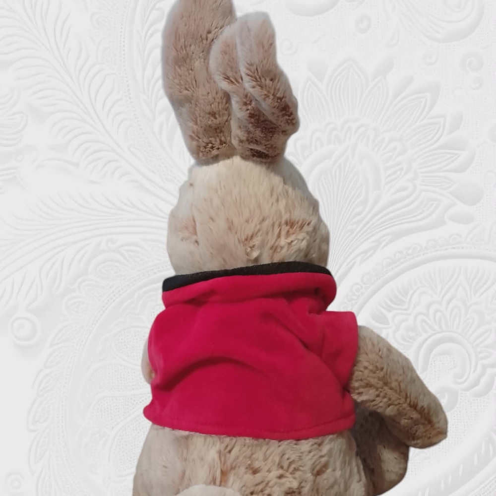 Peter Rabbit 20" Plush - Picture 2 of 5